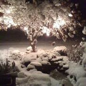 Tracy Gasinski's photo