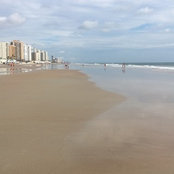 Diana Radcliffe's photo