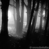 Kristi Maz's photo