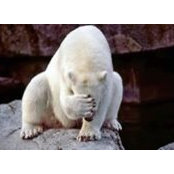 Maria Suleva's photo