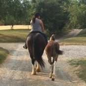 Christine Hajek's photo
