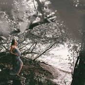 Lisa Brown's photo