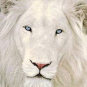 Jazz Singh's photo