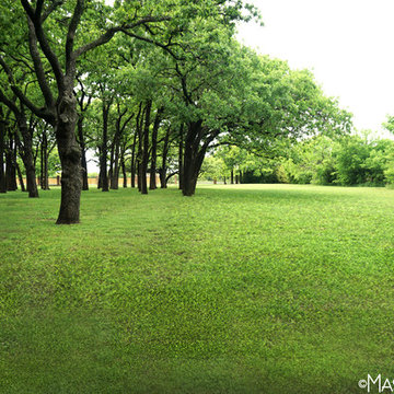 Asian Inspired Lawn and Garden