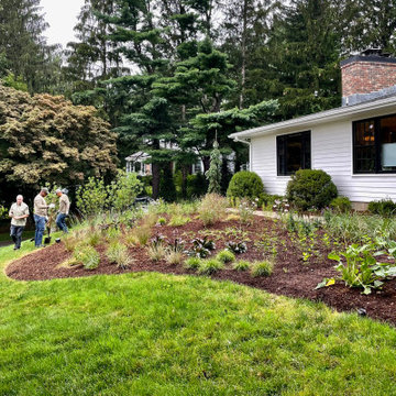 Native Landscaping