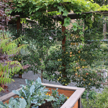 A Garden in the Forest