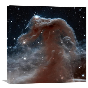 "Horsehead Nebula, Infrared View" Artwork, 24"x24"