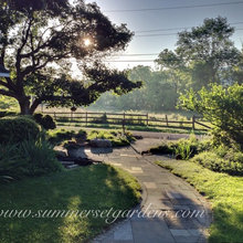 front yard