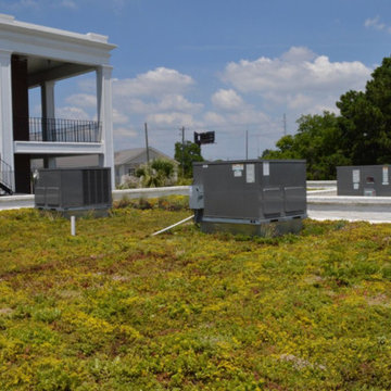 Green Roof Projects