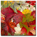 Ready2HangArt - Fall Ink XXI, Canvas Wall Art, 16"x16" - Foliage in traditional fall shades create a welcoming atmosphere, grasping the natural splendidness of autumn in 'Fall Ink XXI'. Handcrafted in the U.S.A., this gallery wrapped canvas art arrives ready to hang on your wall. Refine your space with an art piece from Ready2HangArt's Fall Ink collection, which will effortlessly bring a warm essence of autumn to any style of decor.