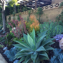 SoCal Yard & Garden