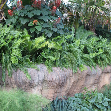 FNGLA Landscape Awards, 2015: Land of the Tiger at The Jacksonville Zoo