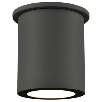 Lamar 1 Light Outdoor Ceiling Light in Black