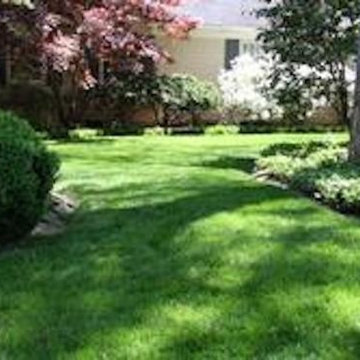 Our Work