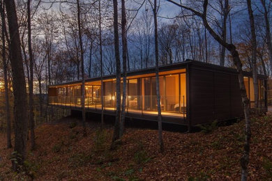 Large modern brown one-story wood exterior home idea in Other