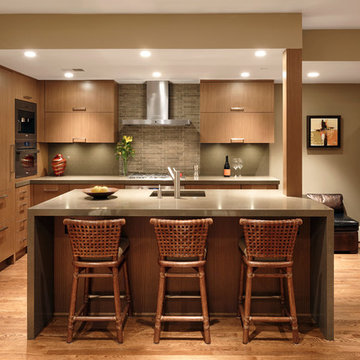 Washington, D.C. - Contemporary - Small Condo Kitchen