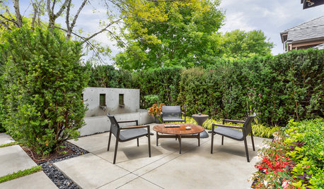 Why You Should Consider Adding a Hedge to Your Yard