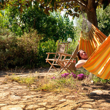 Hammocks
