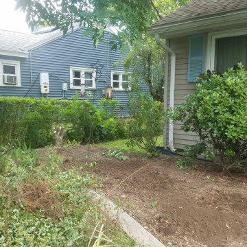Installation: prepping the site for planting—removing previous plantings