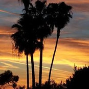 Marie Hassett Smith's photo