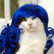 Foto de Milly Mandy