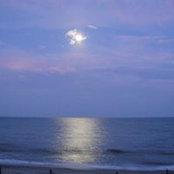 Bob Scales's photo
