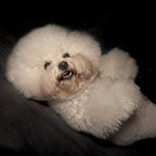 Lani Harrington's photo