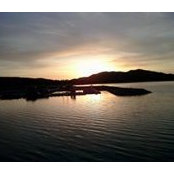 Jackie Holohan's photo