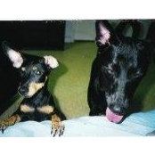 Chantel Lee's photo