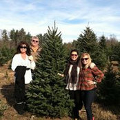 Sharon Hoatland's photo