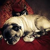George Emory's photo