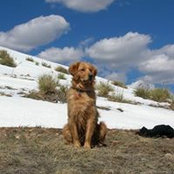 Ben Helliwell's photo