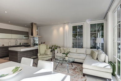 Living room - small contemporary formal and open concept living room idea in DC Metro with white walls, no fireplace and no tv