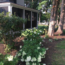 Screened Porch