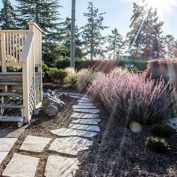 Beachside Perennials