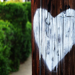 Nature's Heart - Photographs