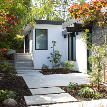 Modern Atrium House