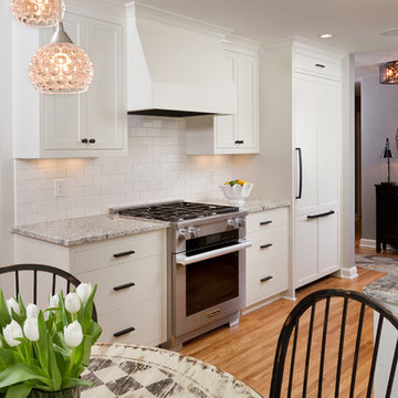 Edina Kitchen Renovation