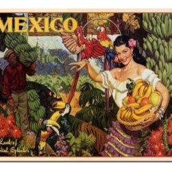 Trademark Art Mexico Canvas Art - Artwork