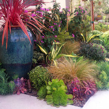 front yard