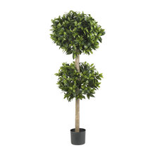 Topiaries!