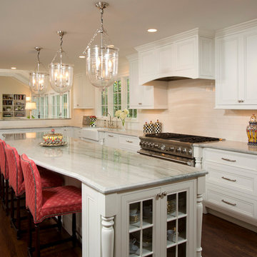 2014 NARI CotY Finalist Award Winner - Alexandria Transitional Kitchen and Great