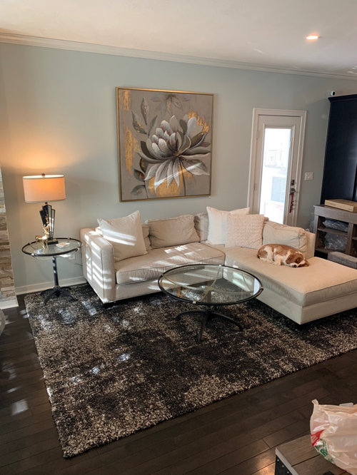 help! need ideas for rug under couch