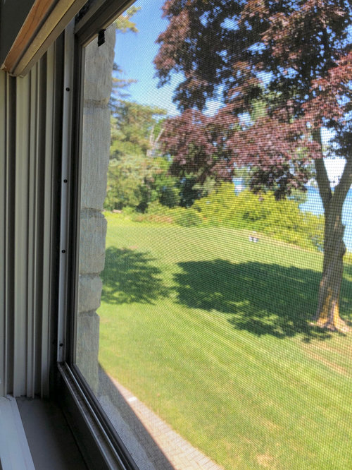 Window Screen Removal Help