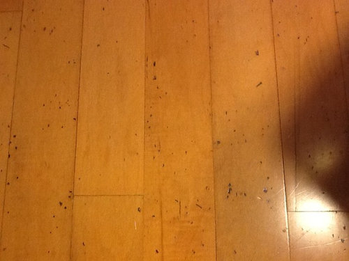 Wood Floor Identification, Hardwood Floor Identification
