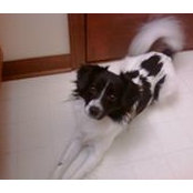 Lisa Granville-Scherer's photo