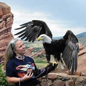 Heidi Beetcher's photo
