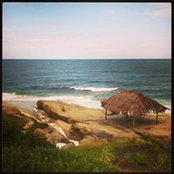 Dana R's photo