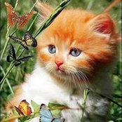 Suzanne Lawson's photo