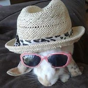 Nicola Price's photo